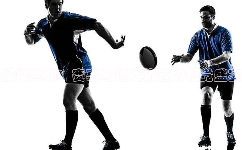 谈球吧体育官网入口遥望科技候鸟运动：赛事与迁徙轨迹的视觉盛宴