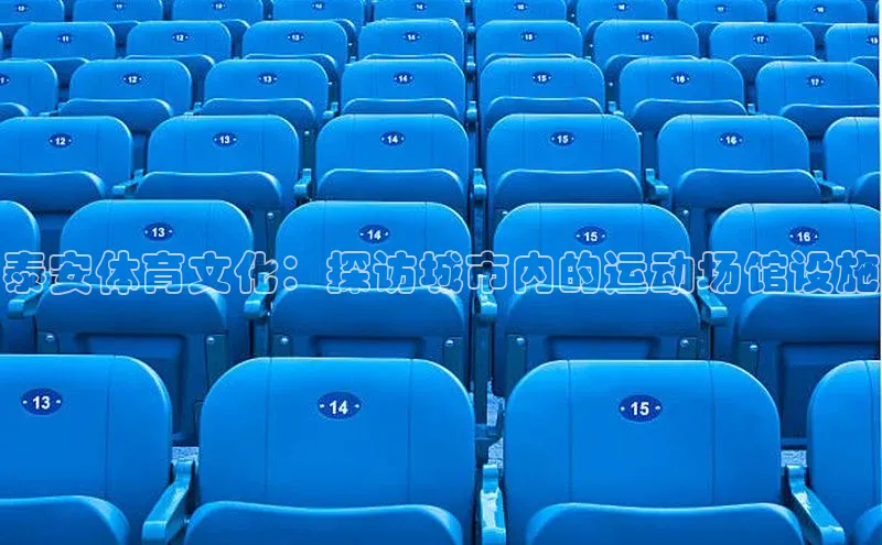 泰安体育文化：探访城市内的运动场馆设施