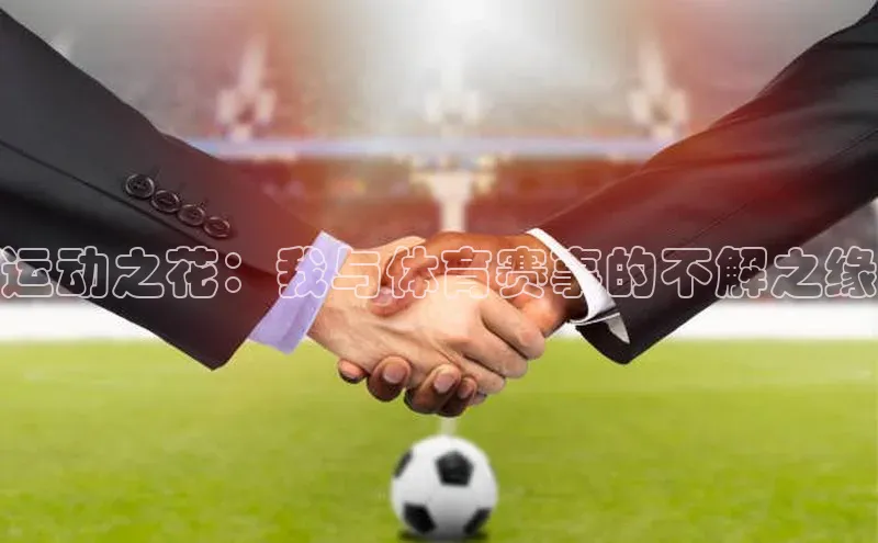 运动之花：我与体育赛事的不解之缘
