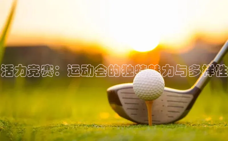 活力竞赛：运动会的独特魅力与多样性