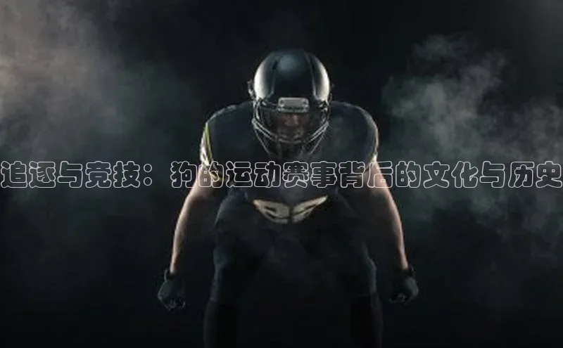 追逐与竞技：狗的运动赛事背后的文化与历史