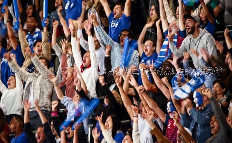 荣耀对决：观看2024年度最精彩运动会武术赛事视频赏析