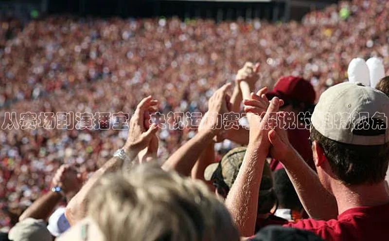 从赛场到演播室：央视运动赛事解说的独特视角