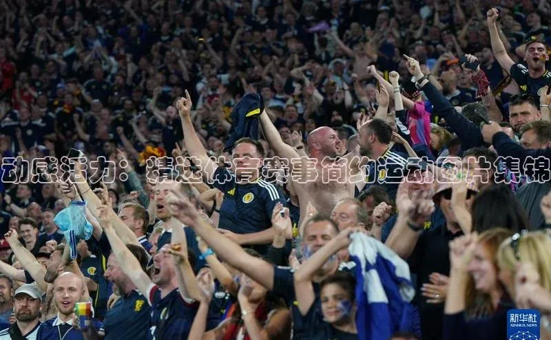 动感活力：精选体育赛事简约运动图片集锦
