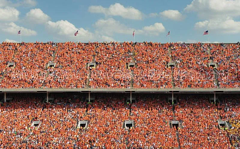 全球体育盛事：2024年赛事概览与影响力分析